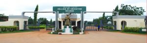 Nwafor Orizu College of Education, Nsugbe (NOCEN)