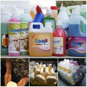 How To Produce Bleach and Liquid Soap Business Plan In Nigeria