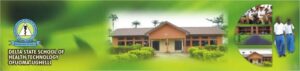 Delta State Schools of Midwifery