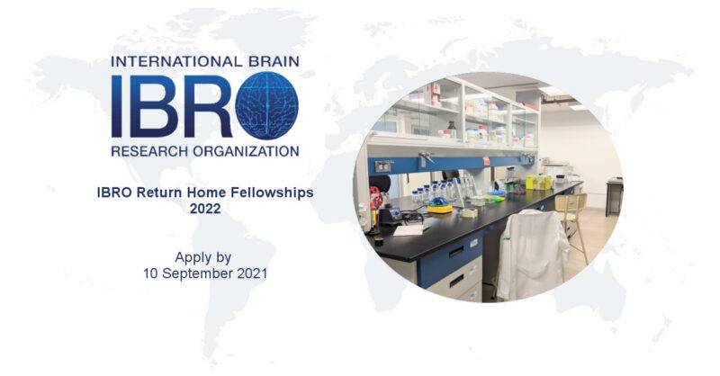 International Brain Research Organization (IBRO) Return Home Fellowships 2022 (Up to €20,000)