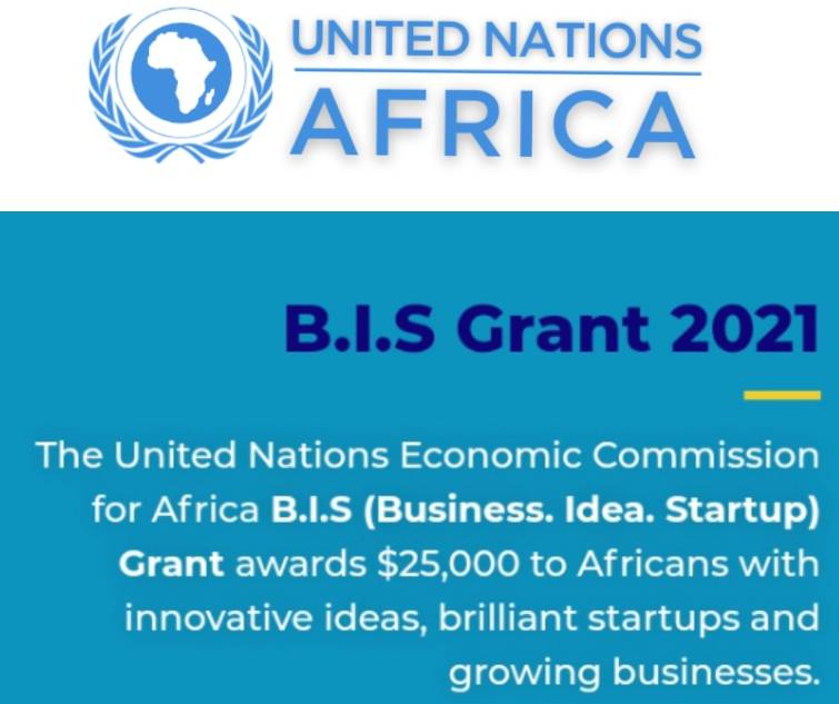 United Nations Economic Commission for Africa Business, Idea & Startup Grant 2021 (Up to $25,000)