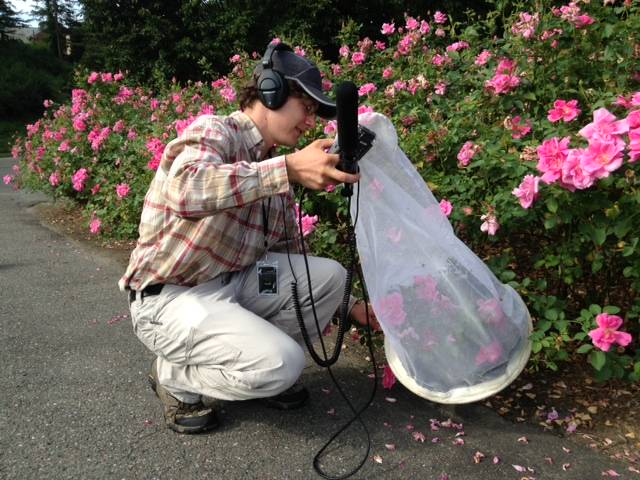 Arnold Arboretum of Harvard University Ashton Award for Student Research 2022 (up to $4,000)