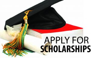 GOKDOM Scholarship 