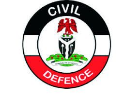 Civil Defence, Correctional, Fire and Immigration Services Board (CDCFIB) Massive Job Recruitment 2023