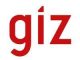 Technical Advisor at the Deutsche Gesellschaft fur Internationale Zusammenarbeit (GIZ)