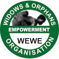 Finance Volunteer at Widows and Orphans Empowerment Organization (WEWE)